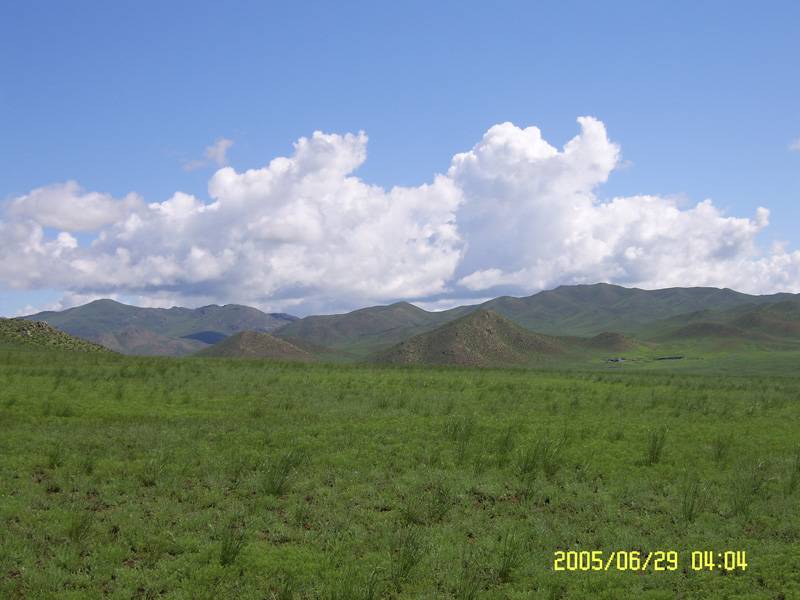 SV101259111.jpg