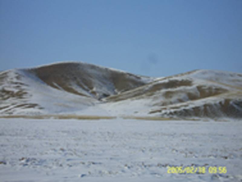 SV101130111.jpg