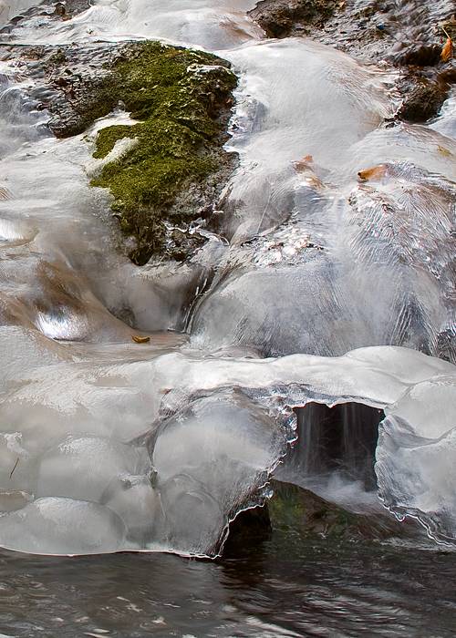 _MG_7822.jpg