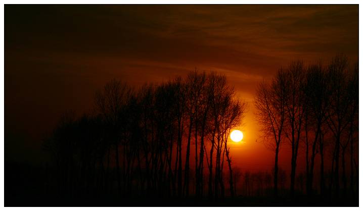 IMG_0980.JPG