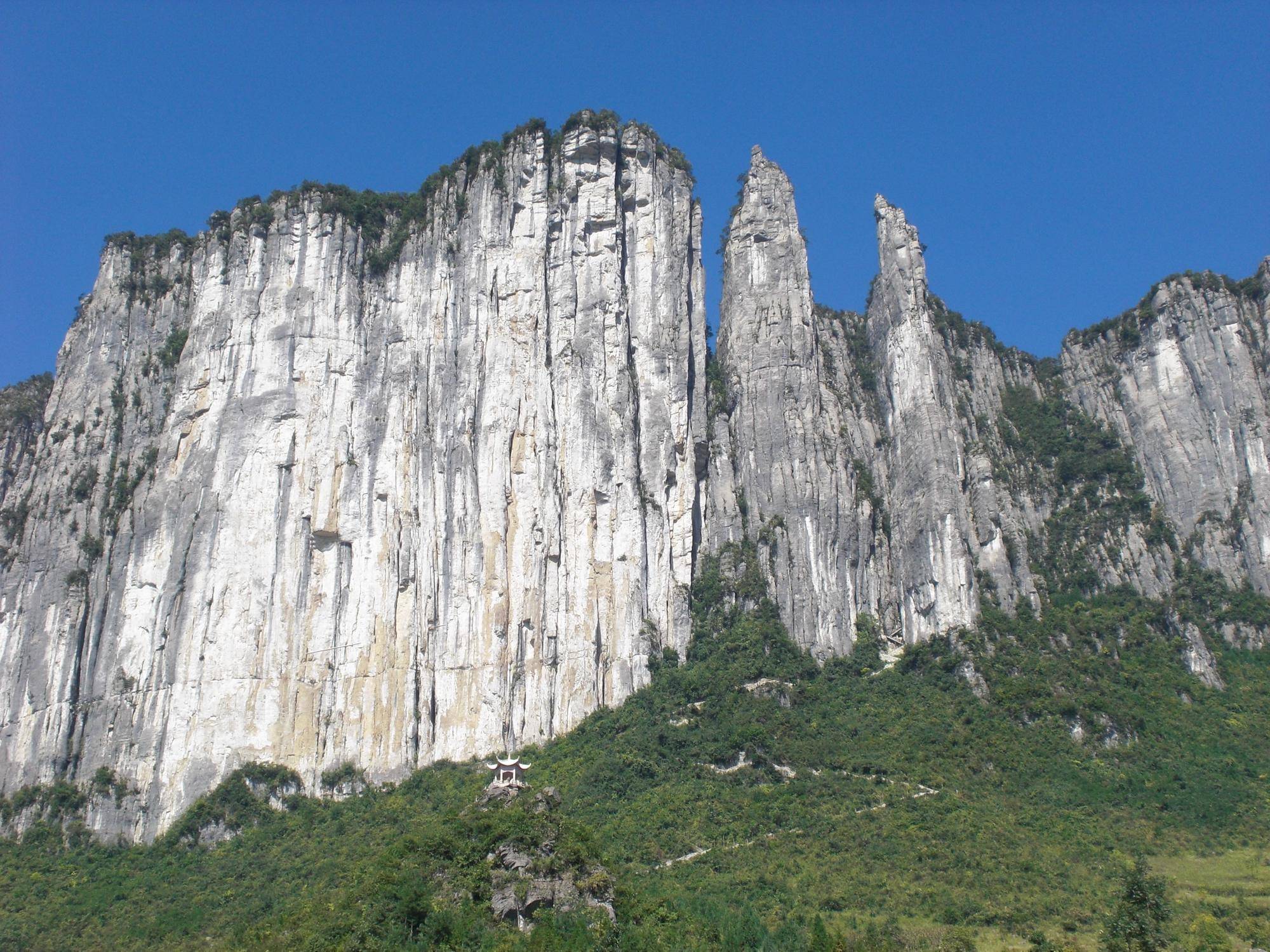 CIMG00971.jpg
