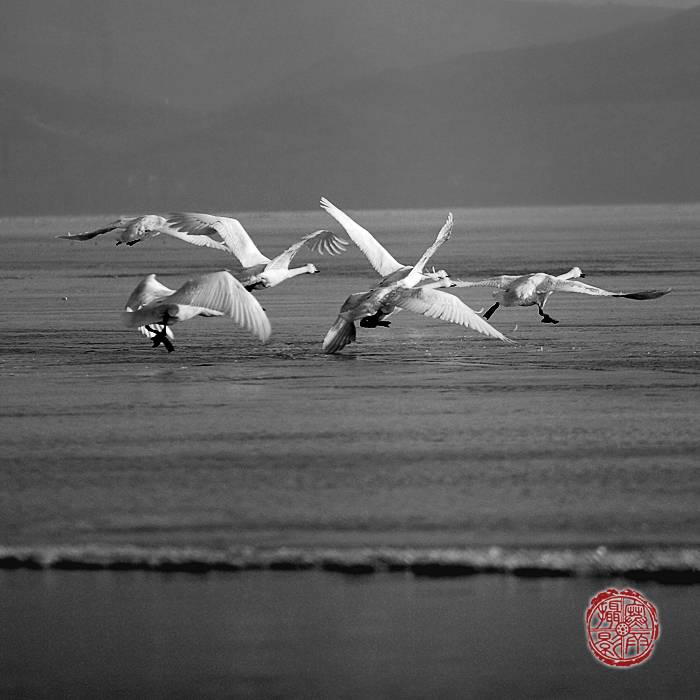_MG_3286.JPG