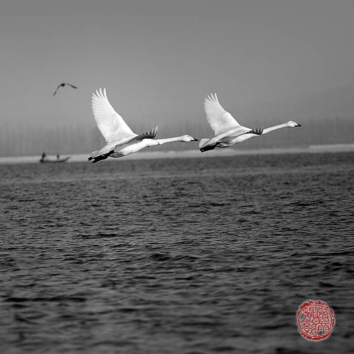 _MG_3235.JPG