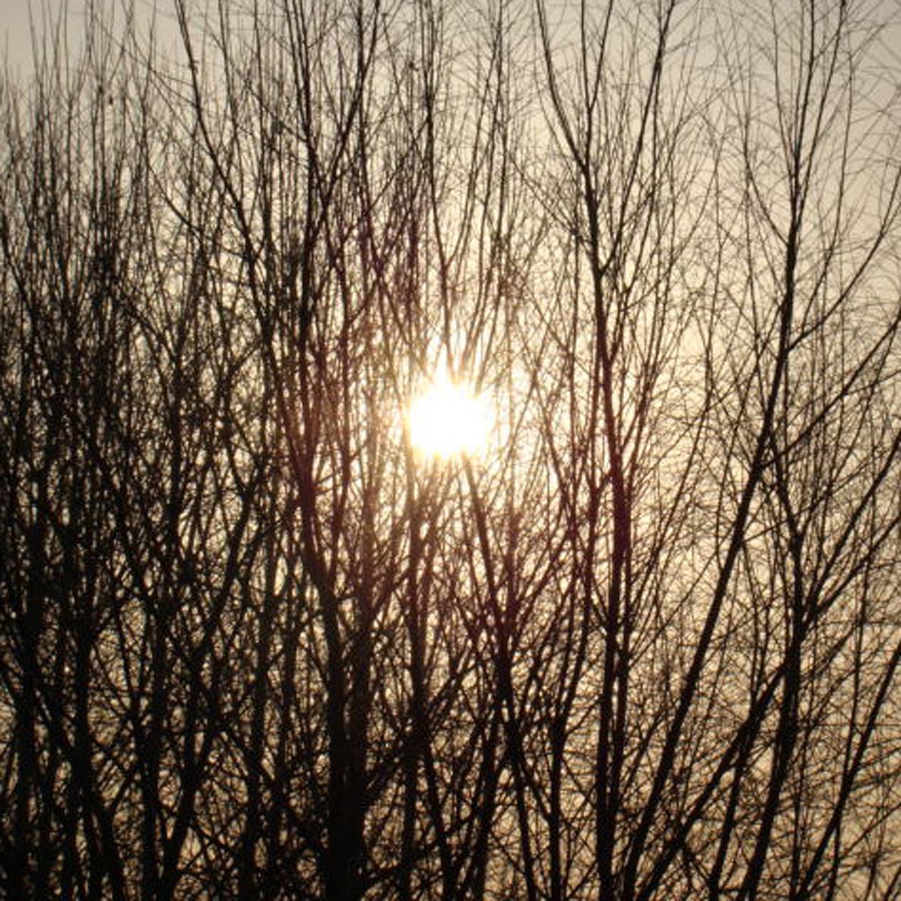DSC03729.JPG