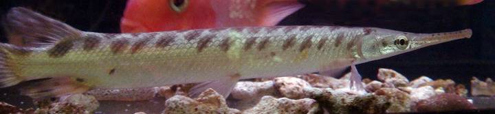 DSC02869_С.JPG