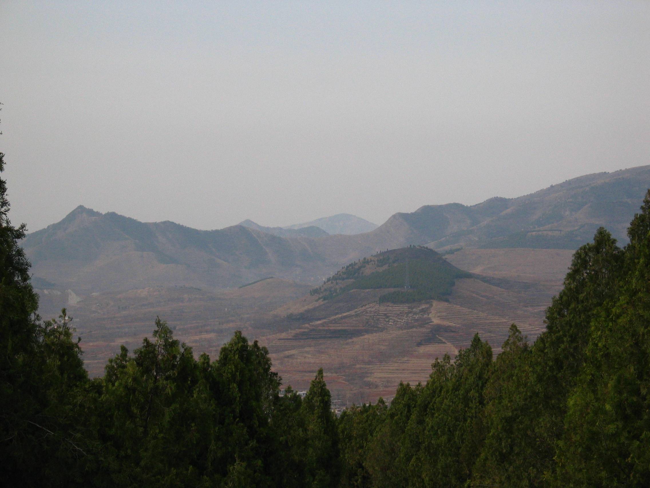 IMG_0003.JPG