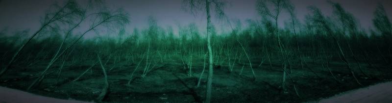 100_2896.jpg