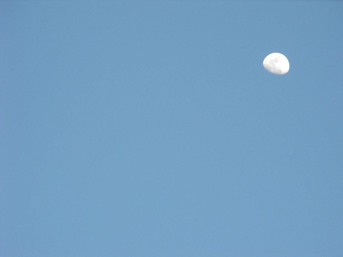 DSCF0077+.jpg