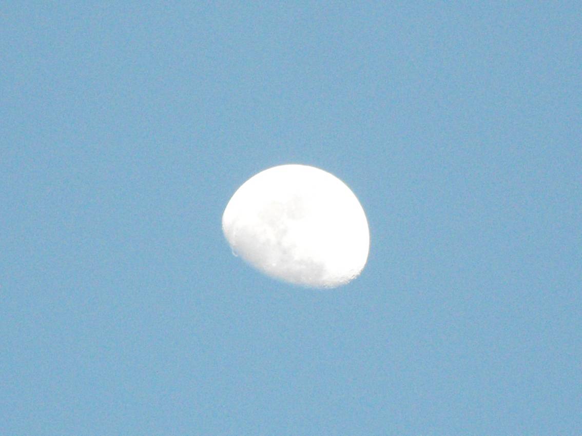 DSCF0076+.jpg