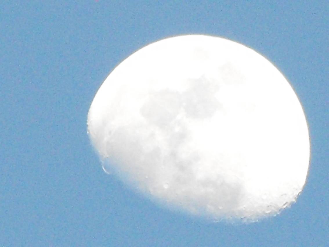 DSCF0075+.jpg