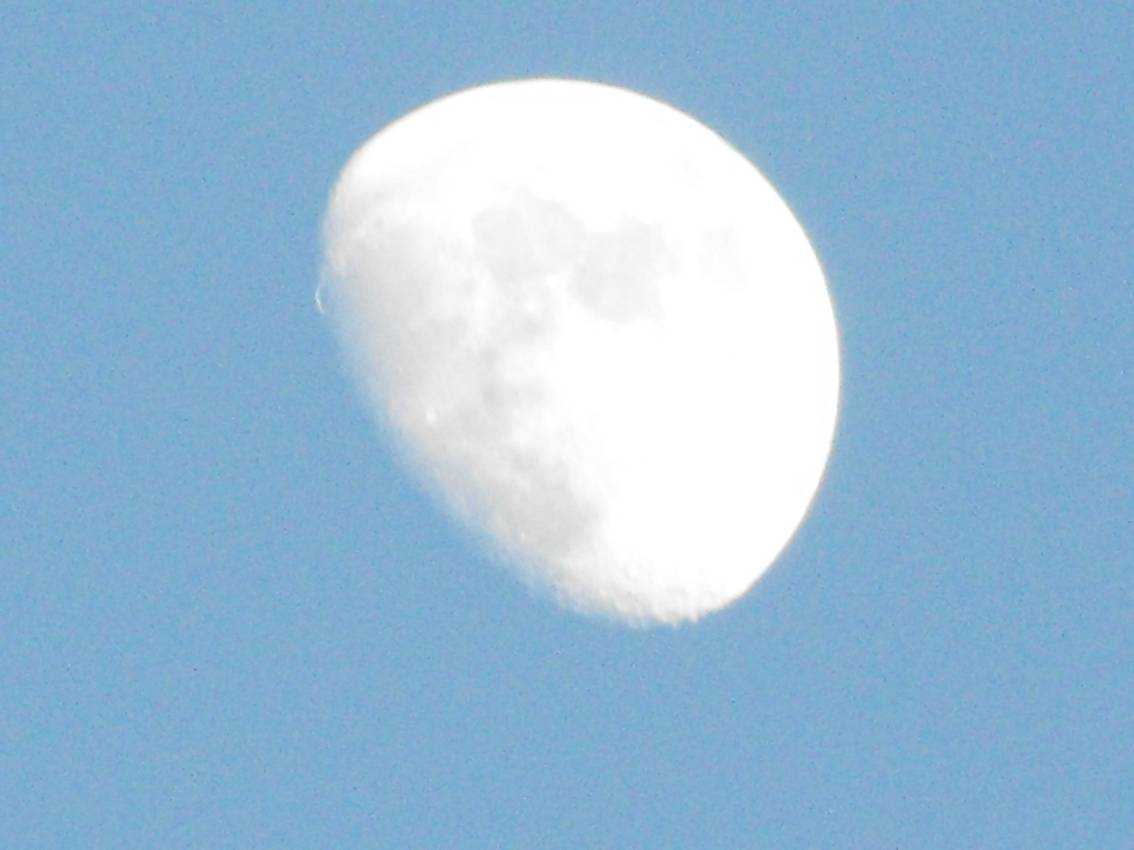DSCF0073+.jpg