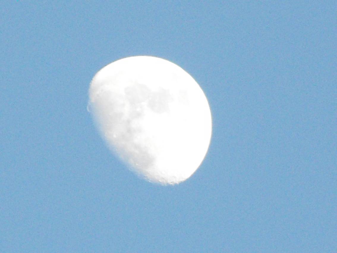 DSCF0072+.jpg