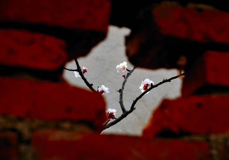 _DSC1502oi.jpg