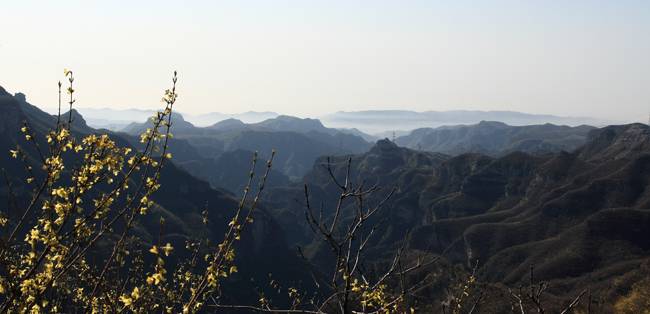 IMG_8006.jpg