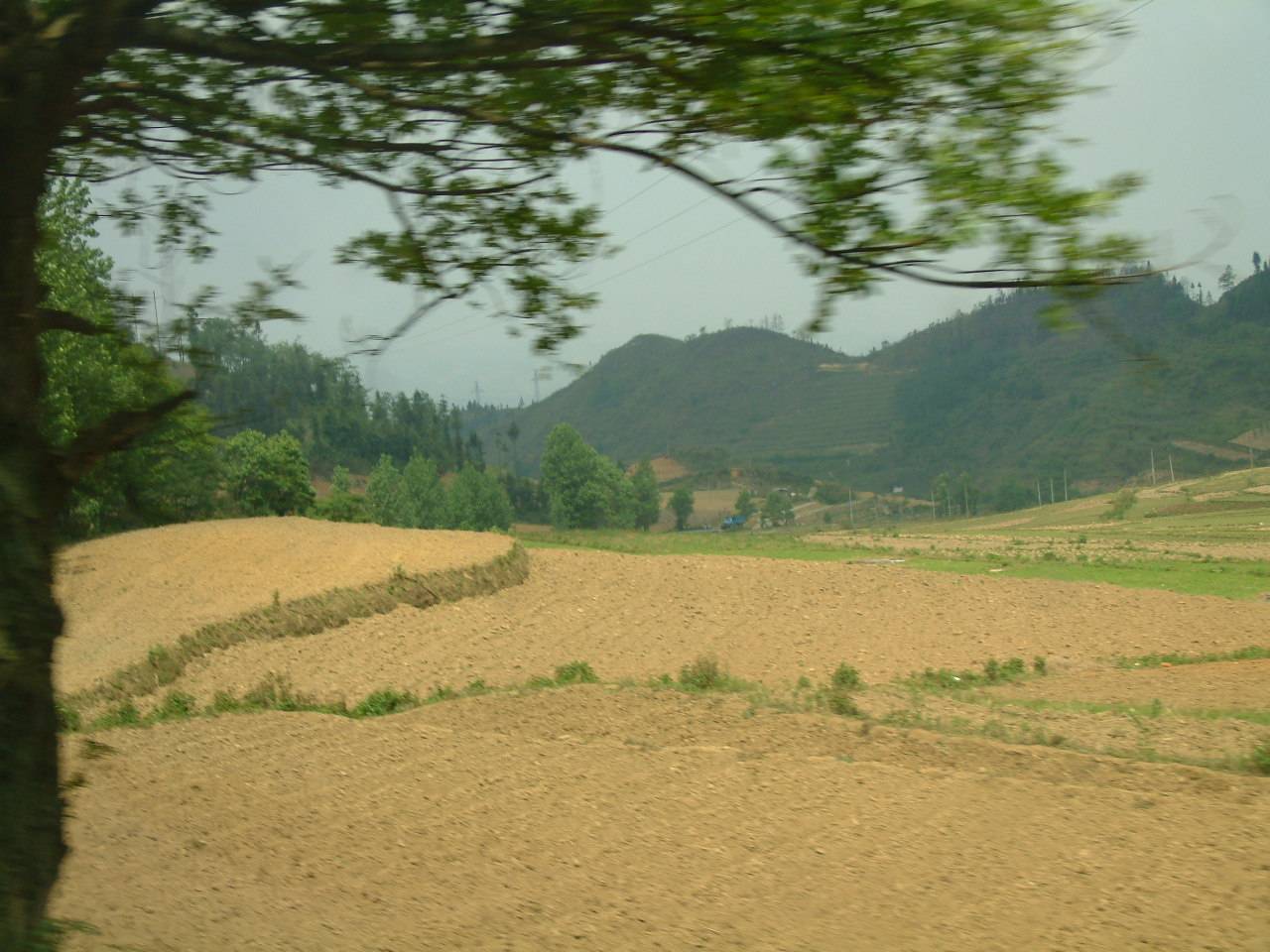 DSCF1092.JPG