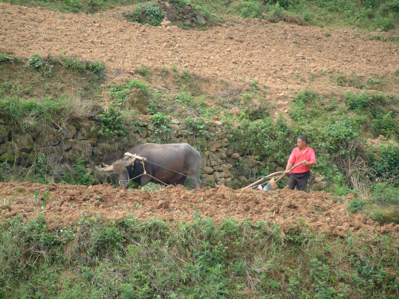 DSCF1065.JPG