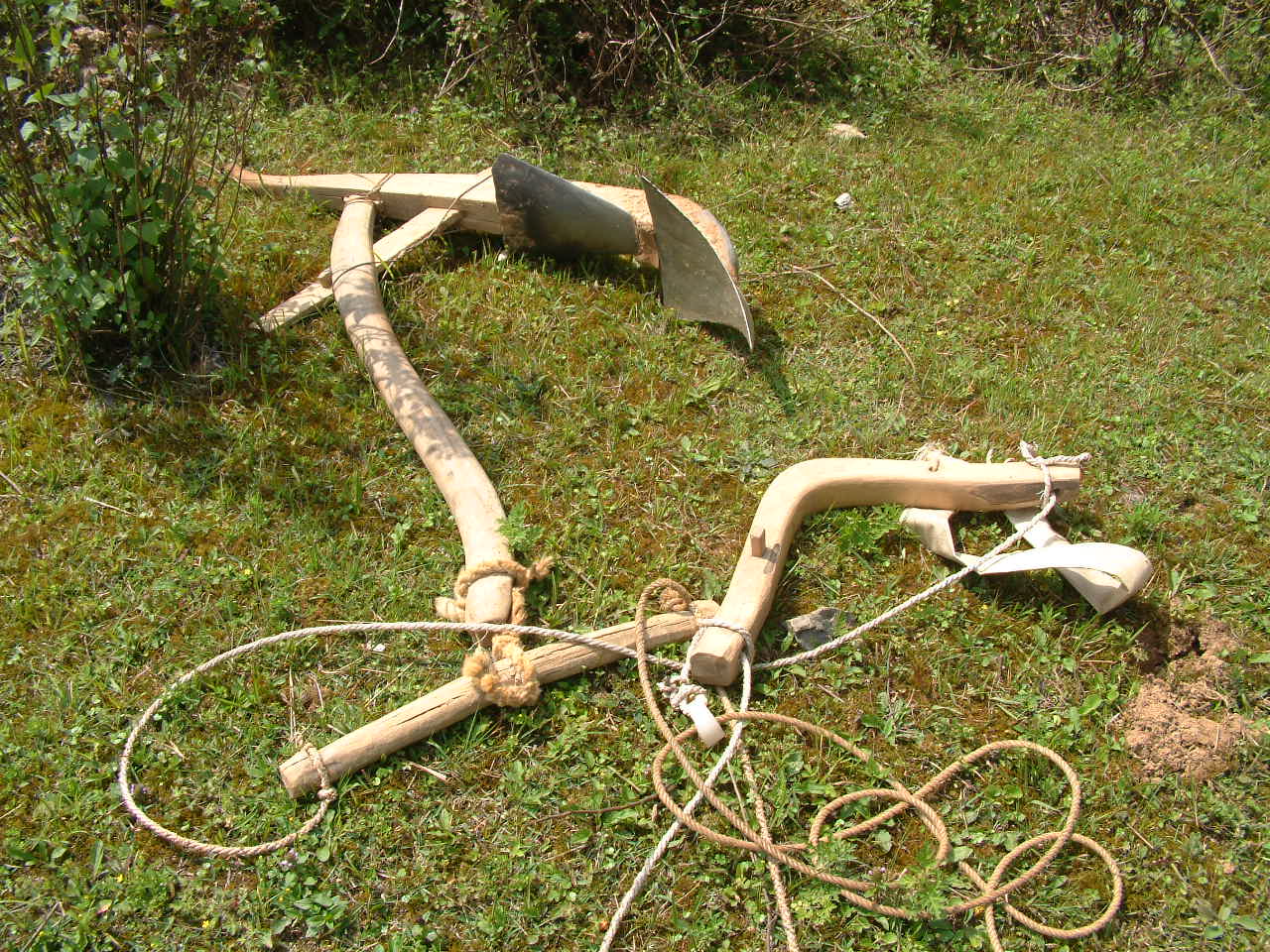DSCF1063.JPG