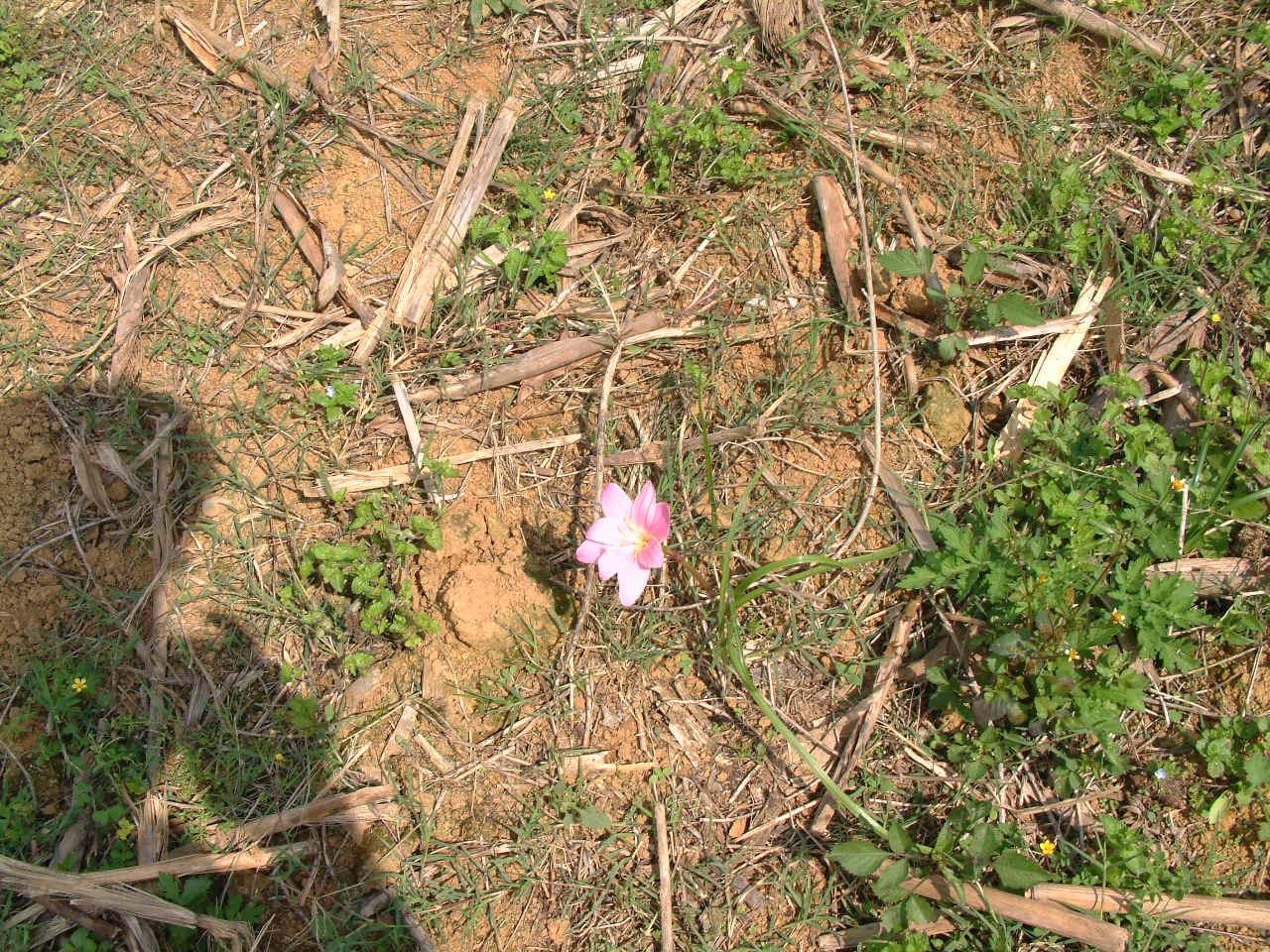 DSCF1075.JPG