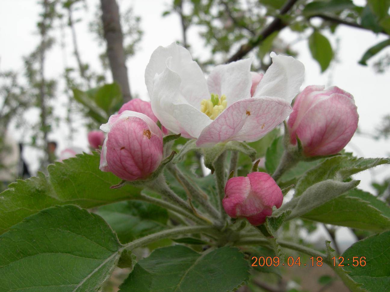 DSCN5075.JPG