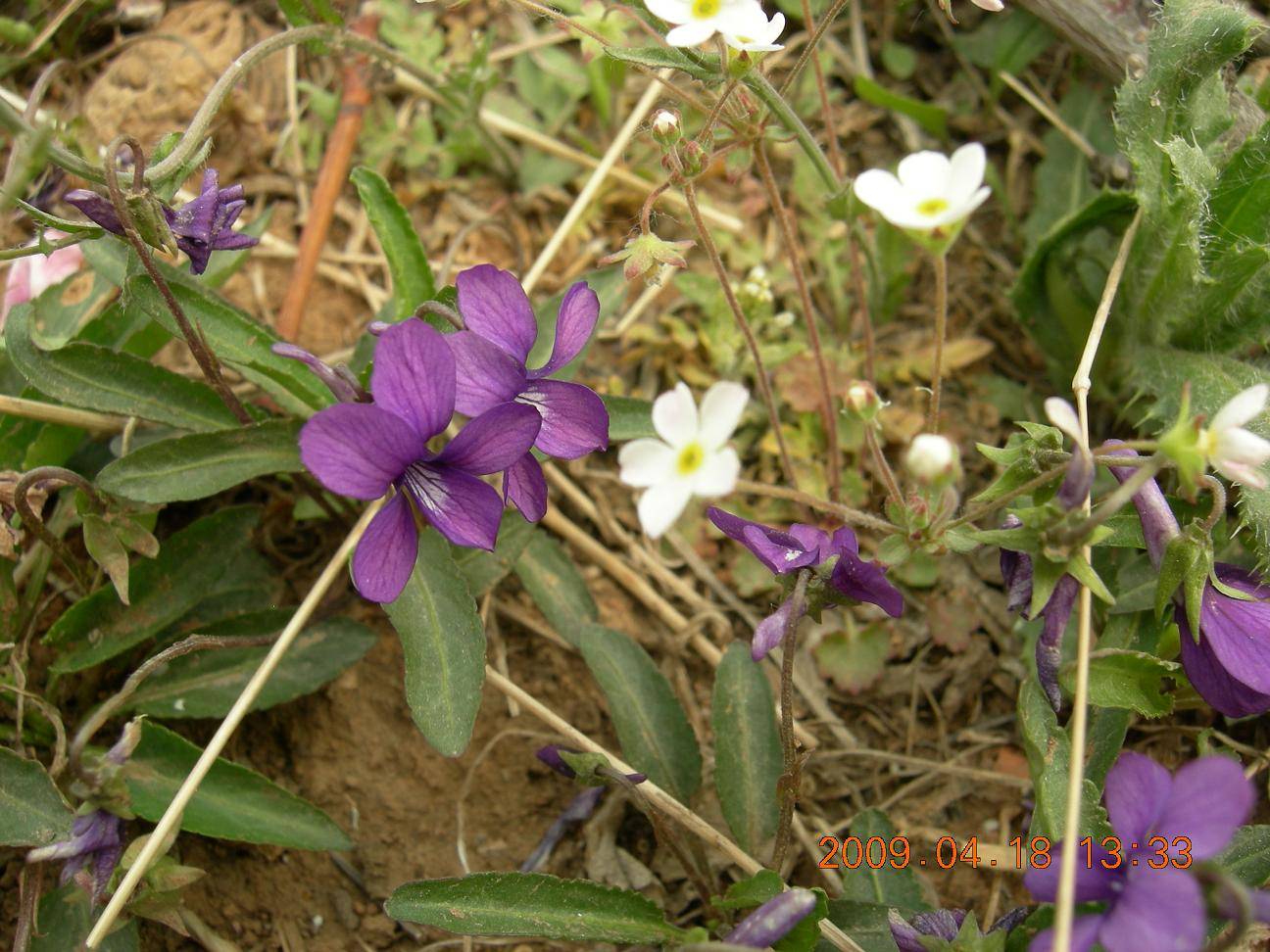 DSCN5084.JPG