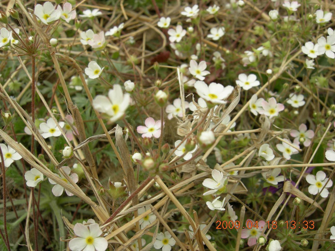 DSCN5085.JPG
