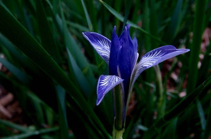 DSC03765_С.JPG