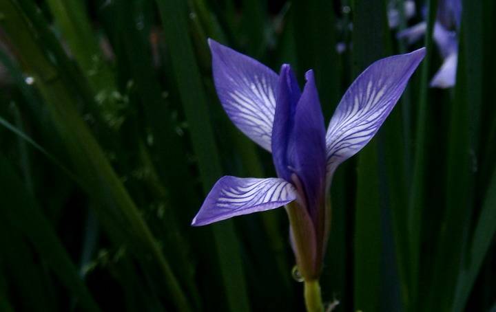 DSC03756_С.JPG