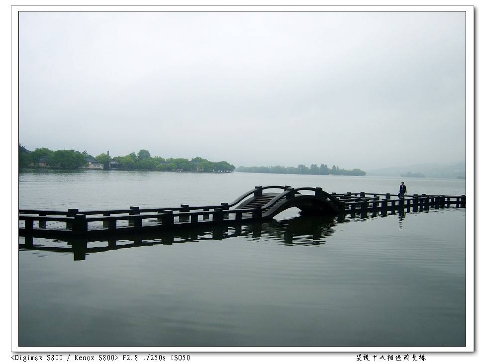 S8003257.jpg