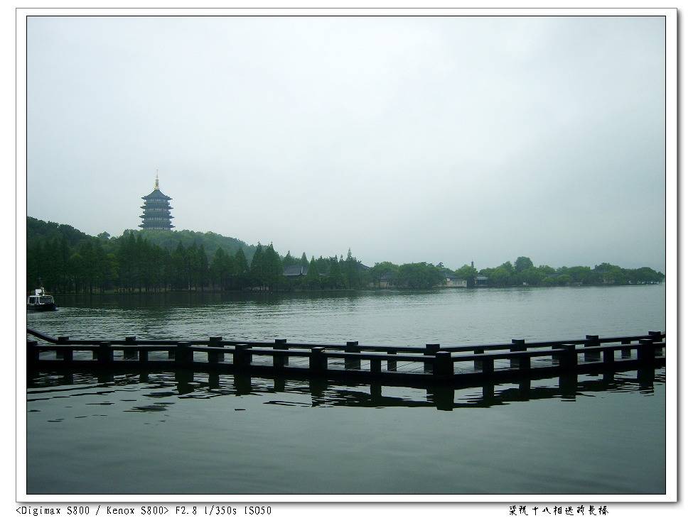 S8003259.jpg