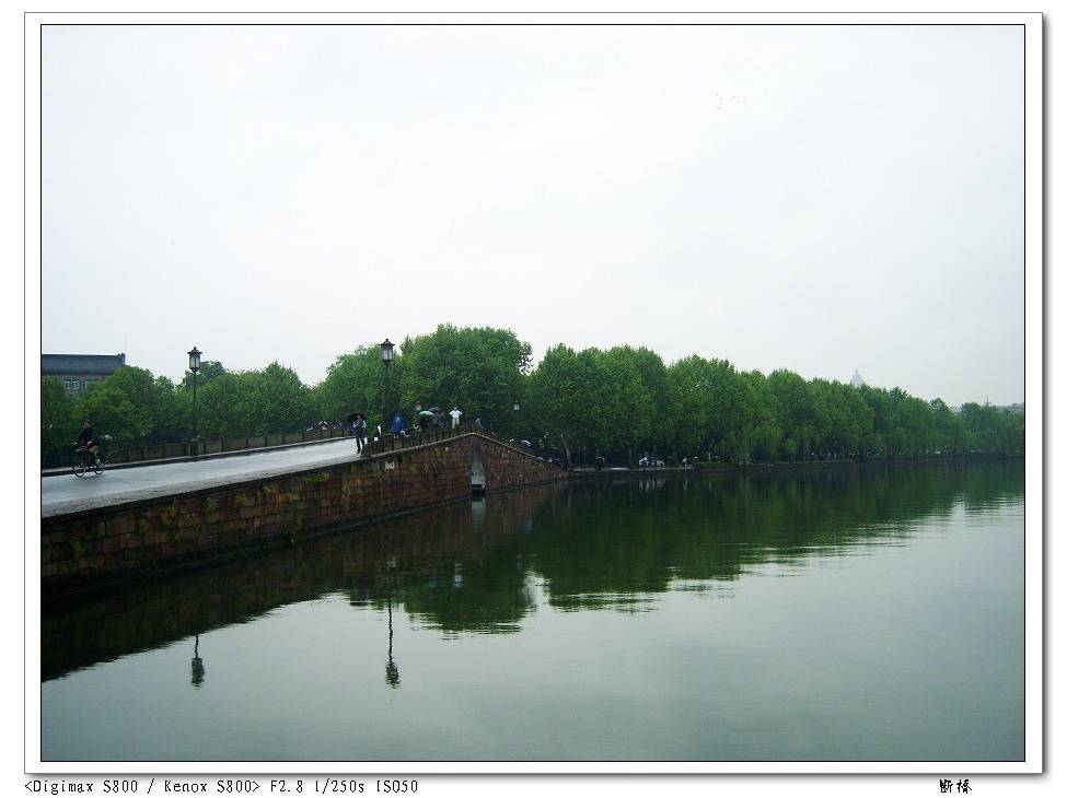 S8003231.jpg