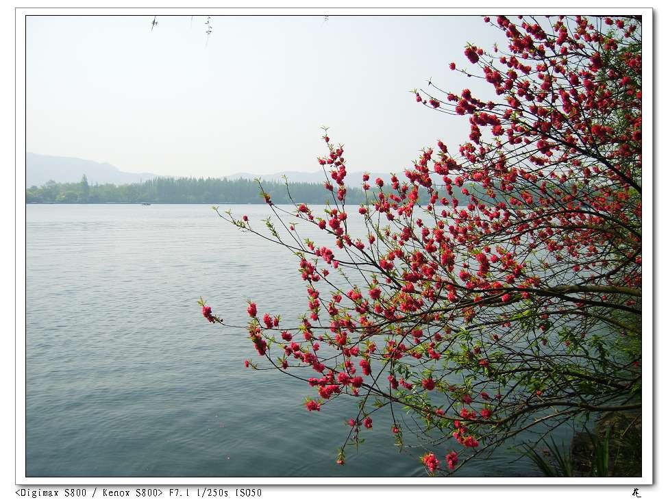 S8006353.jpg