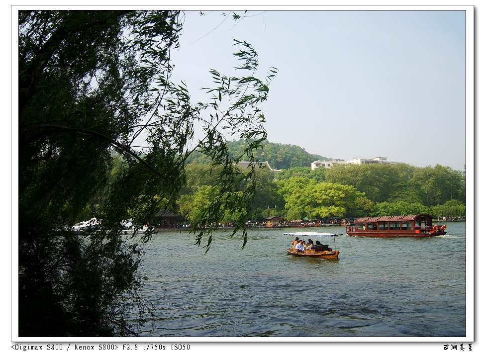 S8003019.jpg