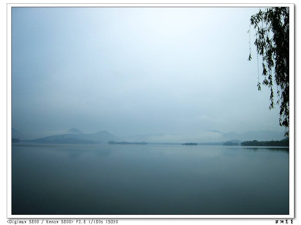 S8003213.jpg