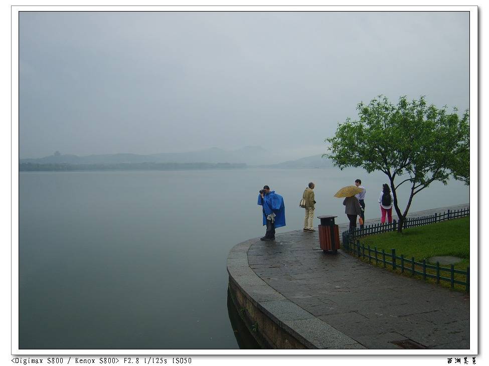 S8003230.jpg