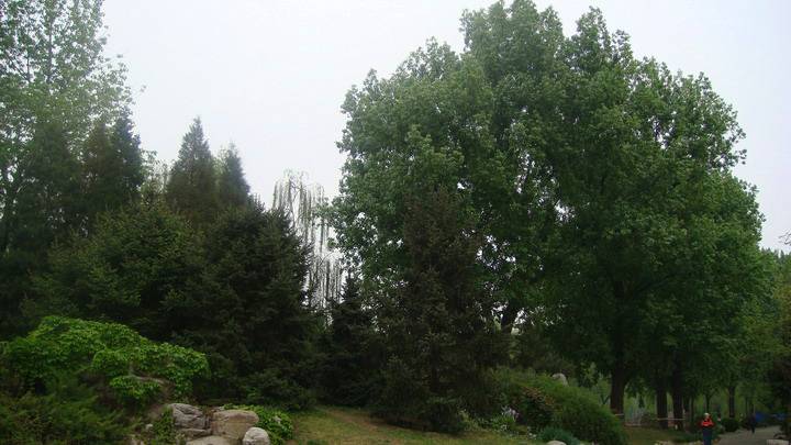 DSC03815_С.JPG