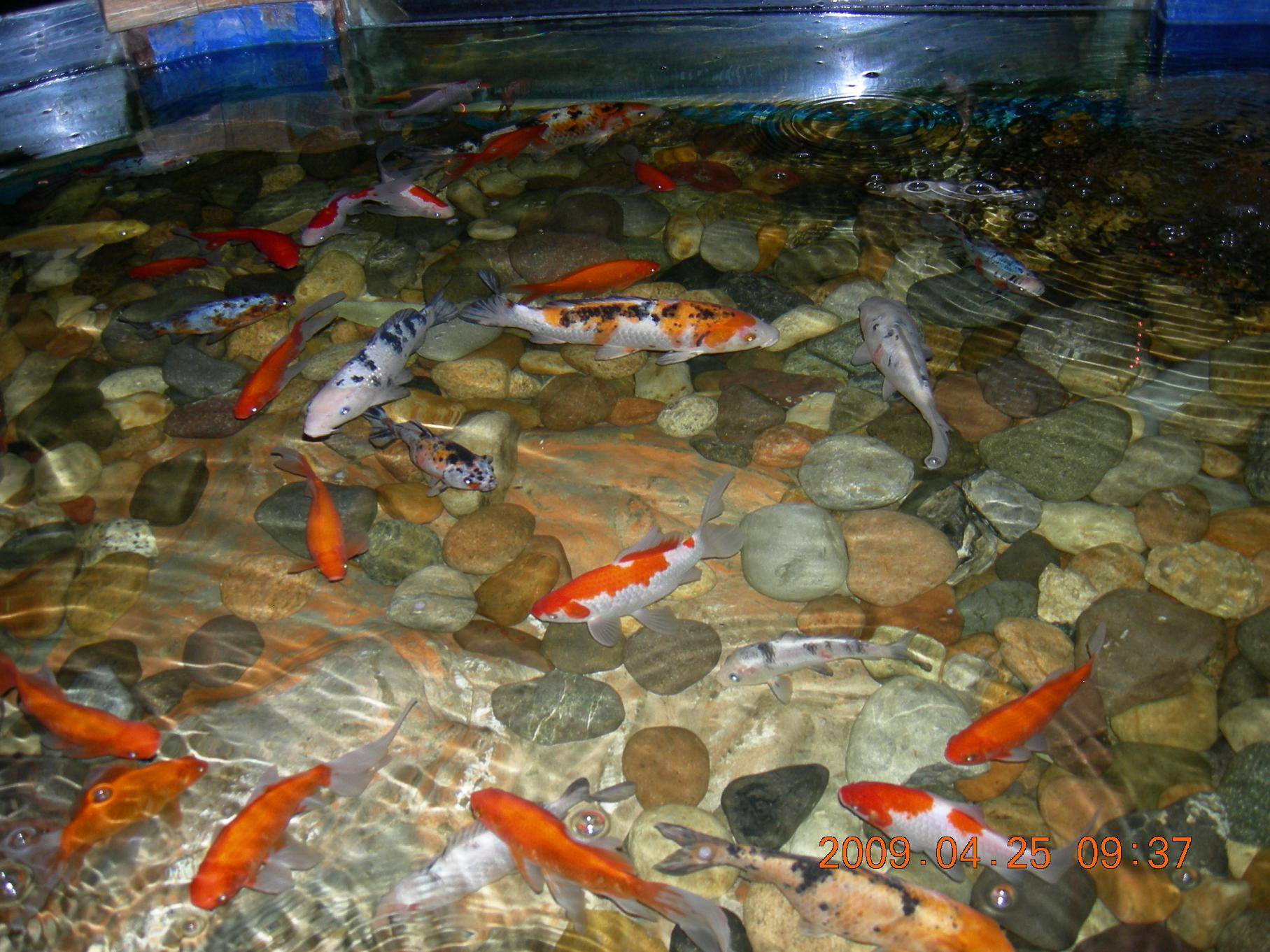 DSCN5225.JPG