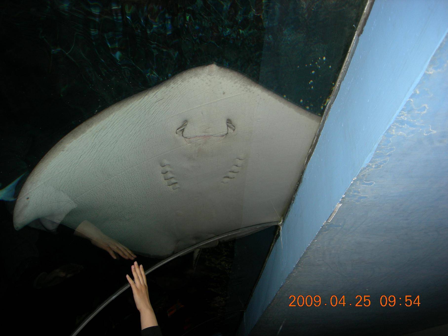 DSCN5265.JPG