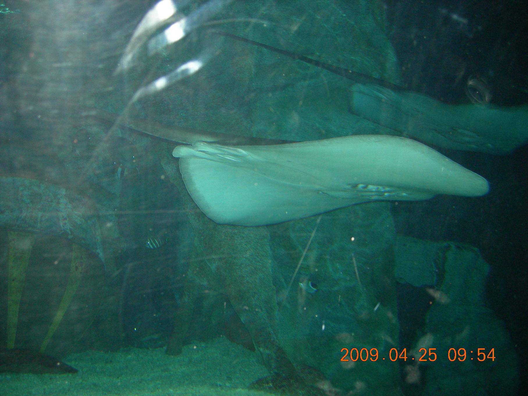DSCN5264.JPG