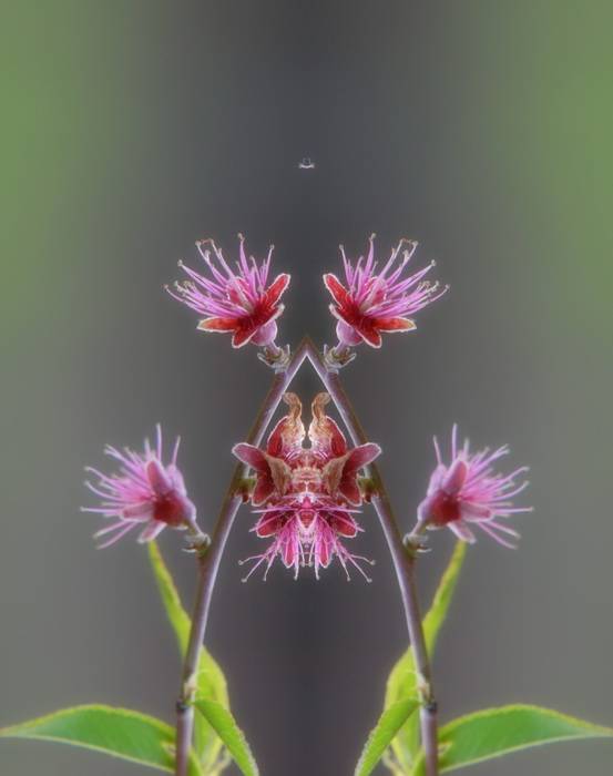 һ1.jpg