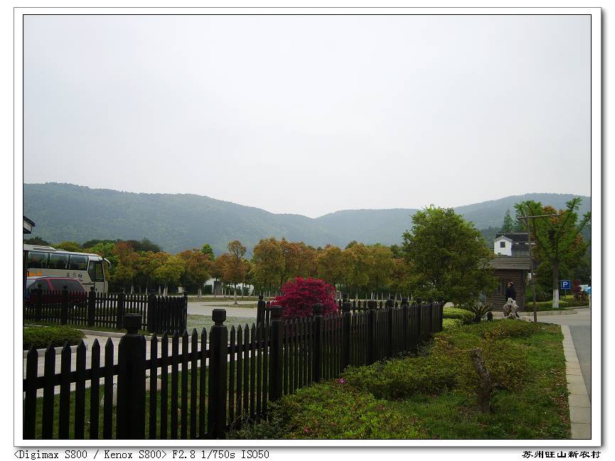 S8002819.jpg