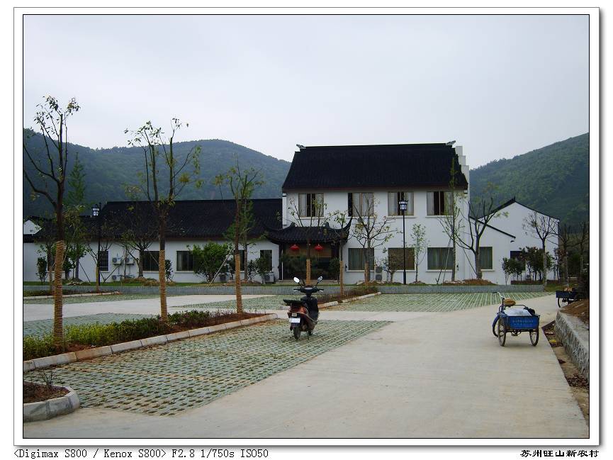 S8002812.jpg
