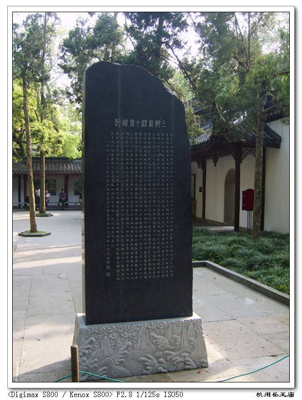 S8003044.jpg