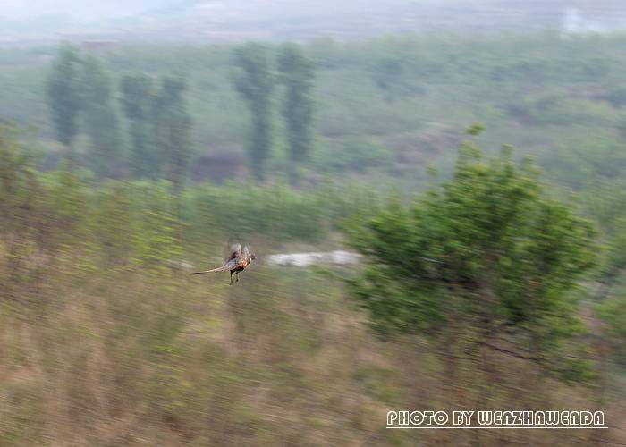 IMG_2120.JPG