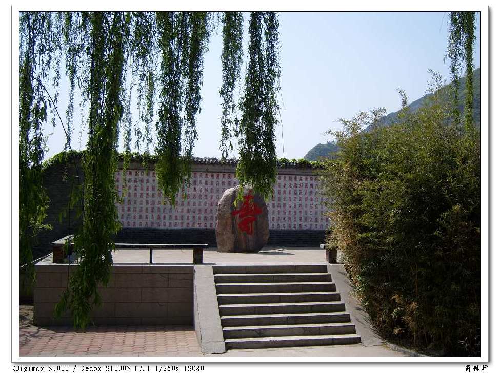 S1030134.jpg