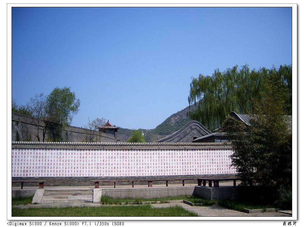 S1030140.jpg