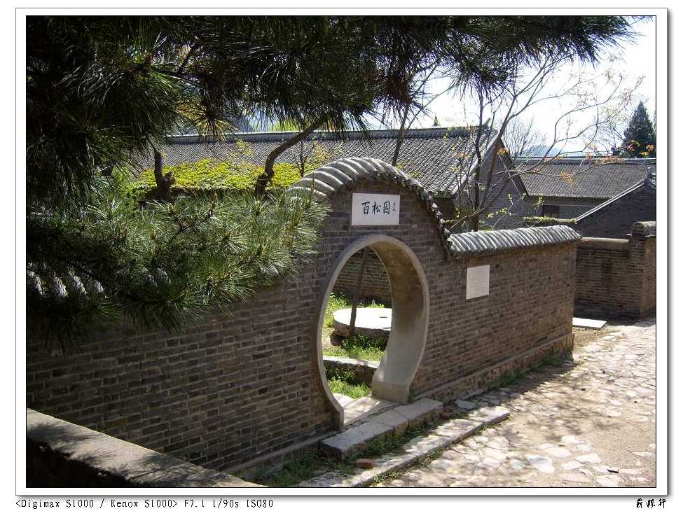 S1030224.jpg