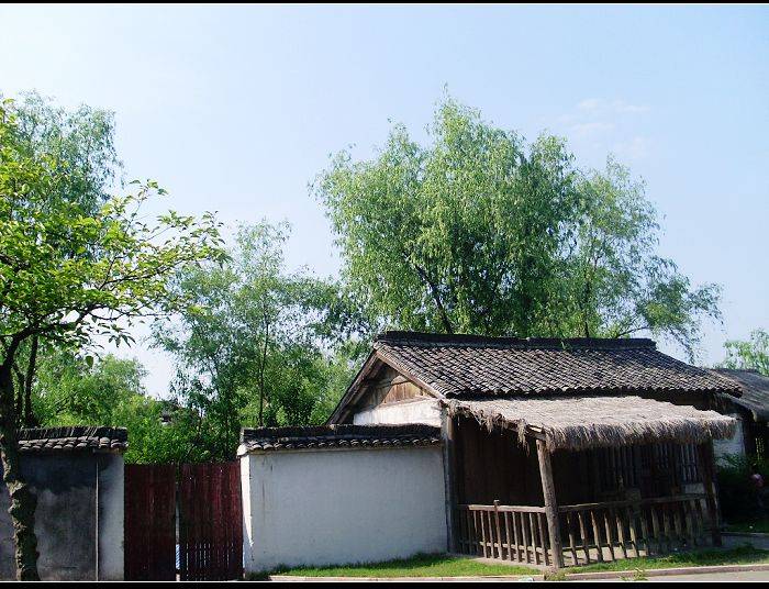 35.jpg