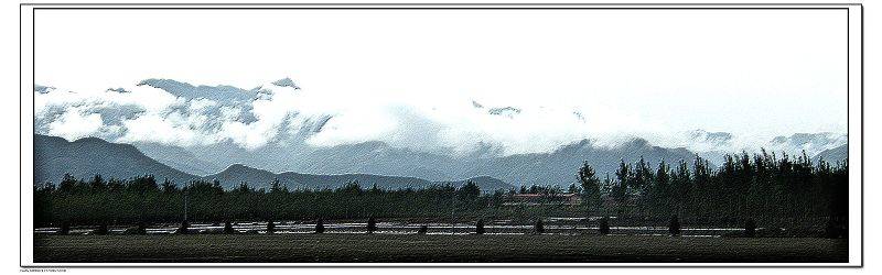 DSCF5003.jpg