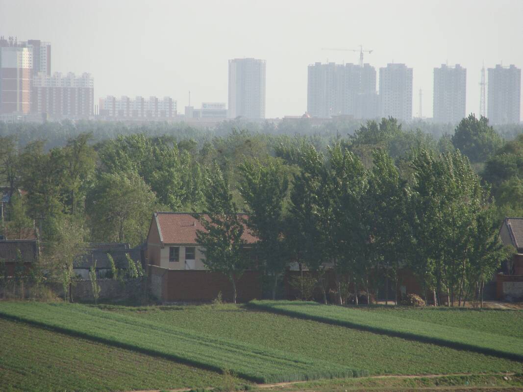DSC00084.jpg