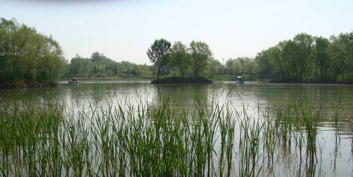 DSC04424_С.JPG